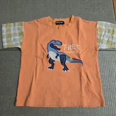 クレードスコープ　klädkap Tシャツ　恐竜　背びれ　ティラノサウルス