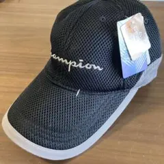 Item thumbnail for item e3d87830-f5d3-4eda-a1a9-01c8313b2cd3