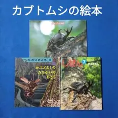 たくさんのふしぎ キンダーブックしぜん かぶとむし カブトムシの音が