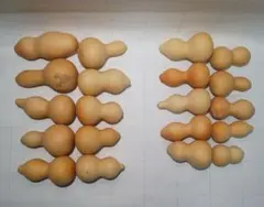 Item thumbnail for item 65dd42a3-0735-4fd8-a4bd-1c42e732b8ae