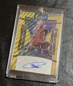 Item thumbnail for item 97858328-d8e9-4a3a-aaec-8b7bef6d5ebd