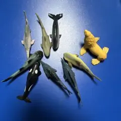 海洋動物フィギュアセット 9体入り