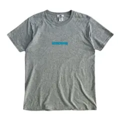 90s 00s GOODENOUGH Tシャツ　フルーツボディー