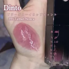 Dinto リップティント 221 Temet Nosce