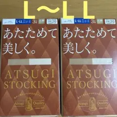 Atsugi ストッキング L-LL アツギ　あったかストッキング