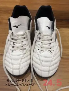 モナルシーダネオ３　トレーニングシューズ