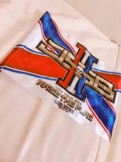 三代目JSB    Raise The Flag 旗