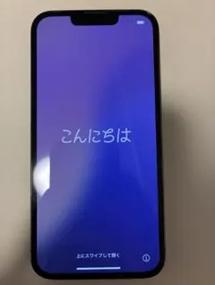 【美品】iPhone 13 Pro グラファイト 256GB｜バッテリー83％