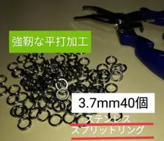 Item thumbnail for item f659beaf-6ffd-4296-8dfc-3ff09c4a077f