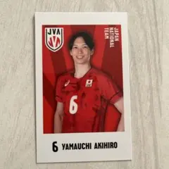 2026年最新】山内晶大 トレカの人気アイテム - メルカリ