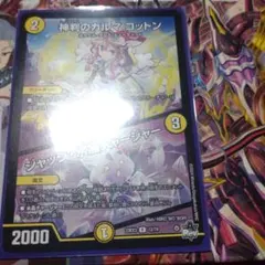 神判のカルマ コットン