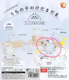 うちの子のけだまだま【チワワ】