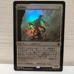 MTG 苦花 日本語 foil モーニングタイド - メルカリ