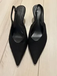 ブラックポインテッドトゥミュール