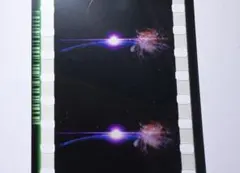 まどマギ ワルプルギスの廻天 特典フィルム ワルプルギスの夜 20