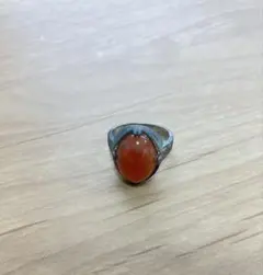 Item thumbnail for item 679cb11d-2563-45e6-9bac-cc1da0b16915