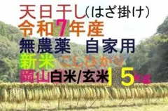 □令和7年 コシヒカリ 白米/玄米 15kg 標準米 無農薬 晴れの国 天