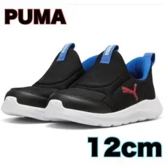 Item thumbnail for item 2d2b5327-6bcc-44a6-a6a7-1fa8237b9f40