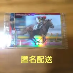 【明日昼12時まで】サラブレッドホースコレクション オルフェーヴル サイン入り