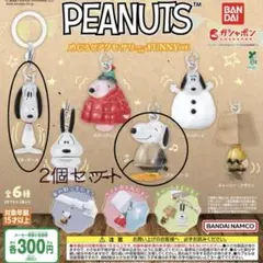 ❶PEANUTS スヌーピー ガチャ めじるしアクセサリー FUNNY ver