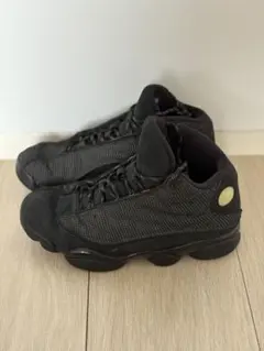 Air Jordan 13 Retro "Black Cat"のサムネイル