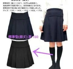 Item thumbnail for item a8461446-f9bd-479f-bbce-81244e20d21e