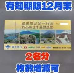 富士急ハイランド フリーパス引換 2名様分d - メルカリ