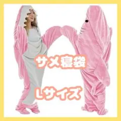 Item thumbnail for item d5186041-d0ec-40cc-a7ae-91761d6c3a52