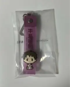 ハイキュー!!一番くじ ぽこっとちゃーむ 牛島若利