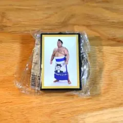 Item thumbnail for item 1371769f-a7a5-41a7-8c73-7ee6006af93a