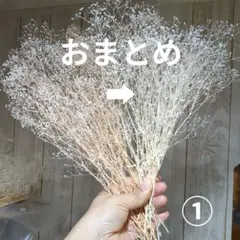ラグラスバニーテール ドライフラワー 100本 ハンドメイド 素材 花材
