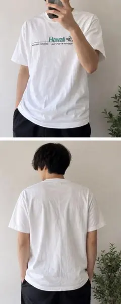 ノースフェイス　ハワイ限定Tシャツ