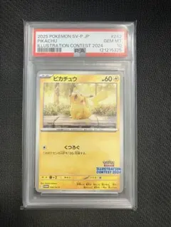 【PSA10】ピカチュウ イラストレーションコンテスト 2024 プロモカード