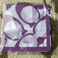 Item thumbnail for item 0254ea78-486a-4b5f-b13a-473e40ea5778