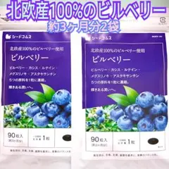 Item thumbnail for item 6d853634-224a-4941-abb2-f7e1b3d67892