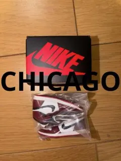 jordan CHICAGO 1点