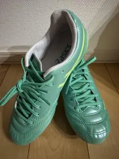 アシックス asics DS LIGHT PRO (DS ライト) 22.5のサムネイル
