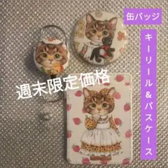 コヤンイサムチョン 豹柄サンダーちゃんキーリール付きパスケース&缶バッジ