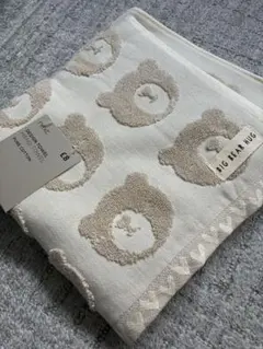 Item thumbnail for item 5a558477-0de6-45be-a253-30877656b398