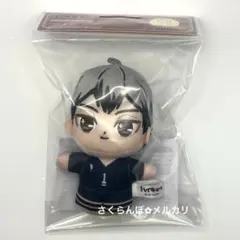【新品】ハイキュー!!ぷりぬいたっちどりーむみにみに 北信介