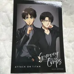 2026年最新】進撃の巨人 リヴァイ カードの人気アイテム - メルカリ