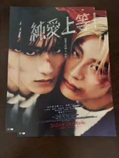 純愛上等　フライヤー　美品　山中柔太朗　髙松アロハ