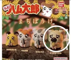 とっとこハム太郎 まちぼうけ タイショーくん