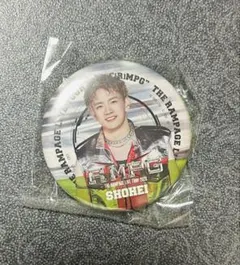 Item thumbnail for item 9e70fb0d-2ff2-4594-b0a8-d85e0377c6f0