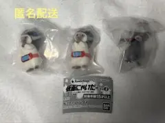 仮面にゃいだー　その3