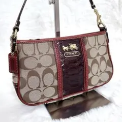 COACH コーチ アクセサリーポーチ シグネチャー ボルドー パイソン 希少