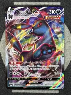 【10点2500円引き】ブラッキーVMAX