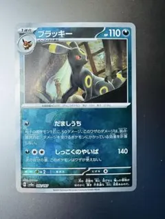 2025年最新】マスターボールミラー ブラッキーの人気アイテム