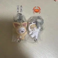 SKZOO つまんでつなげてますこっと フォクシニー ジニレット