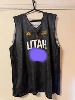 Item thumbnail for item 191020a6-e54f-4dfa-905f-2ca2efeb5a21